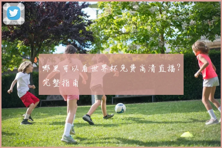哪里可以看世界杯免费高清直播？完整指南