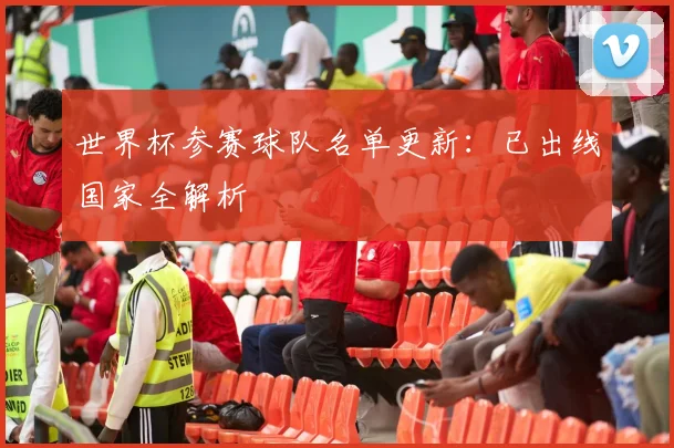 世界杯参赛球队名单更新：已出线国家全解析